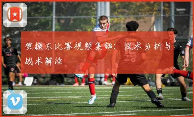 樊振东比赛视频集锦:技术分析与战术解读