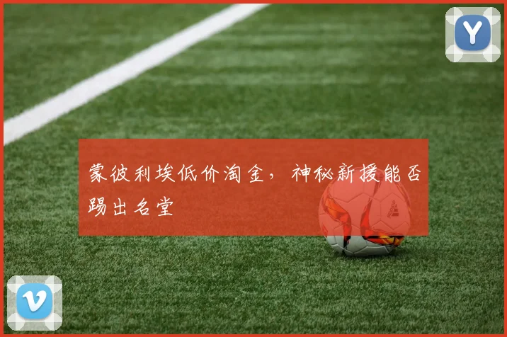 蒙彼利埃低价淘金，神秘新援能否踢出名堂