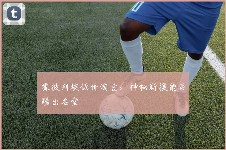 蒙彼利埃低价淘金，神秘新援能否踢出名堂