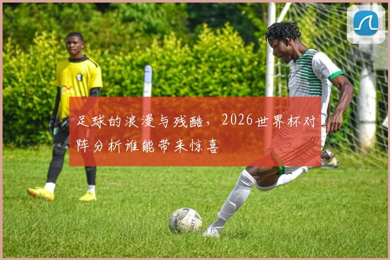 足球的浪漫与残酷，2026世界杯对阵分析谁能带来惊喜