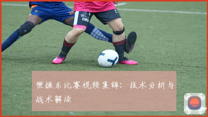 樊振东比赛视频集锦:技术分析与战术解读